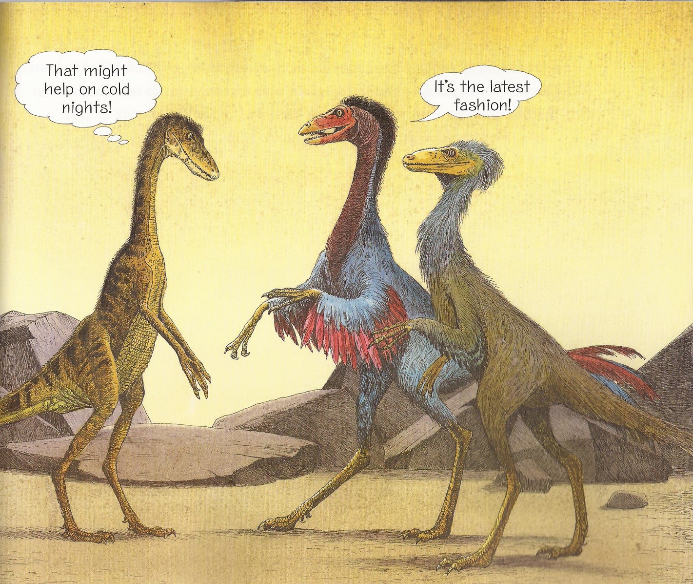 Boy Were We Wrong! feathers1