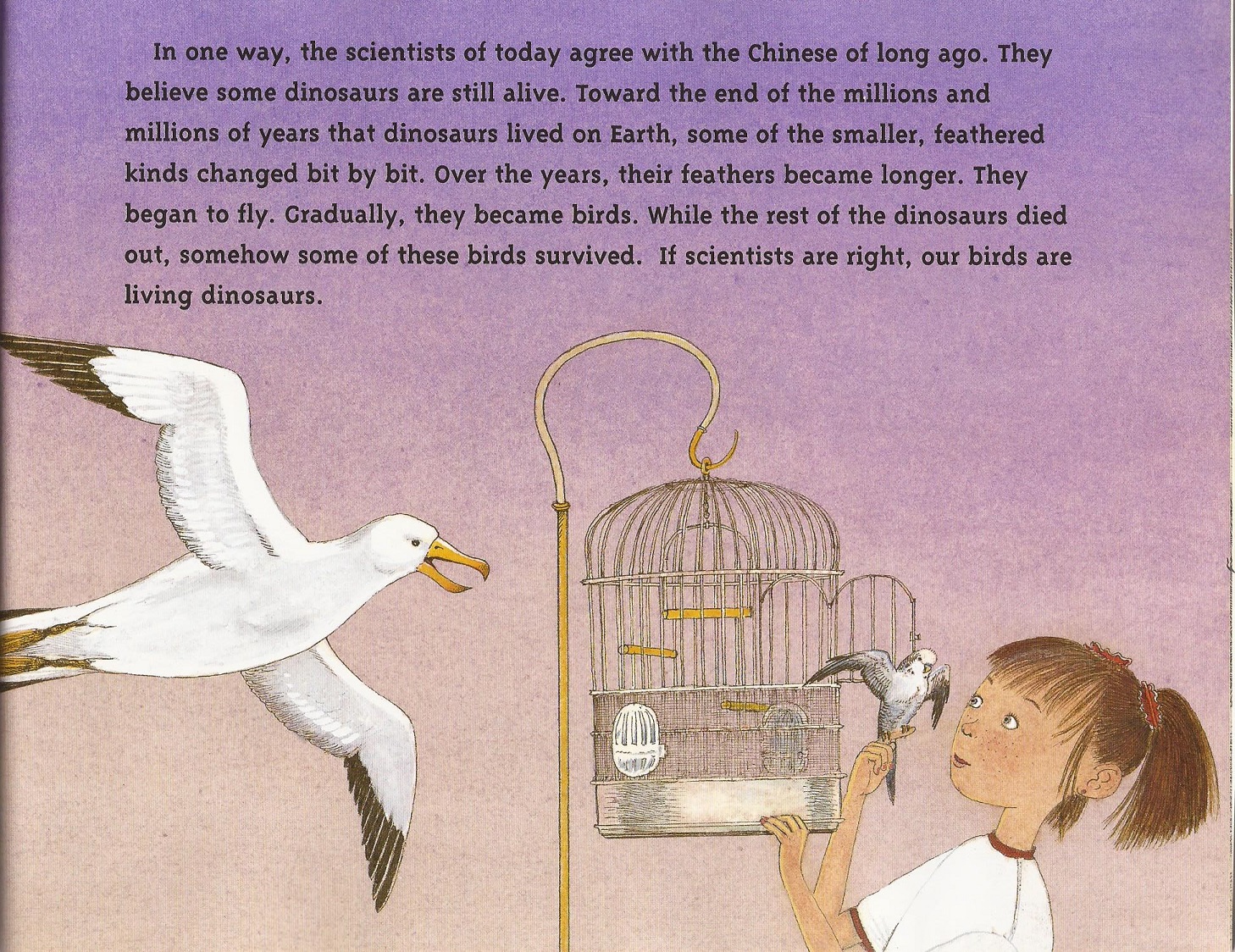 Boy Were We Wrong! feathers3