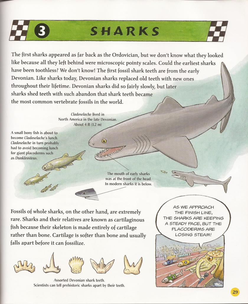 When Fish Got Feet shark