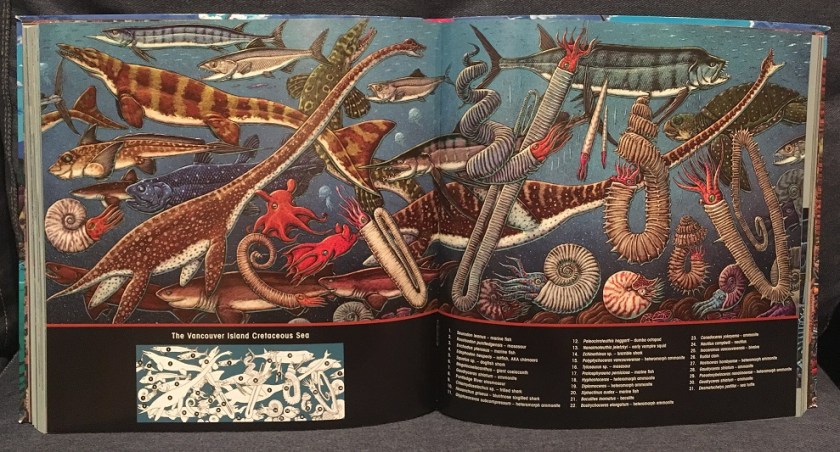 prehistoric sea life