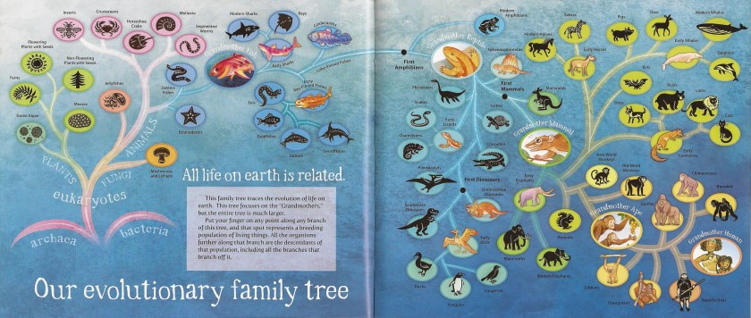 family tree