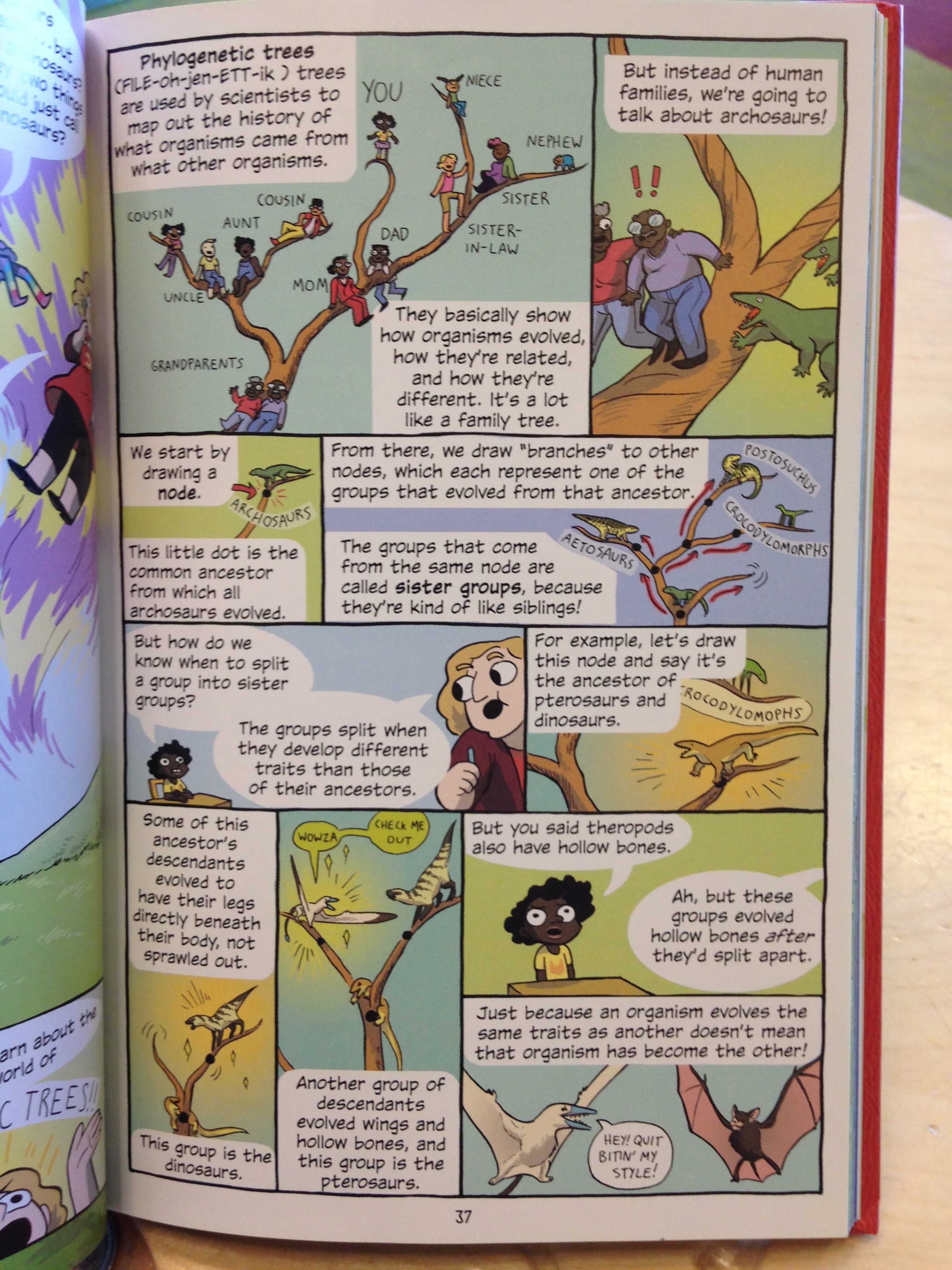 family tree explanation