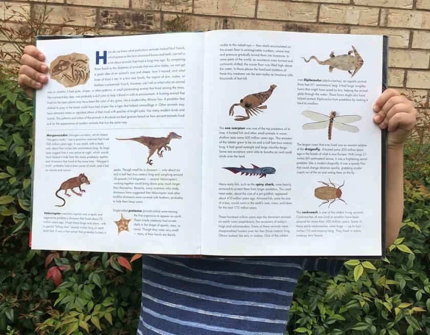 glossary