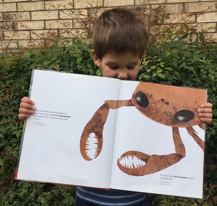 protozoa &amp; eurypterid