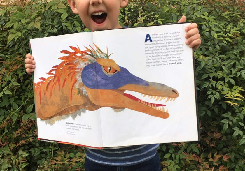 raptor