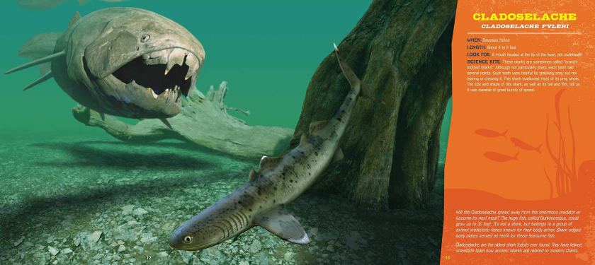 csotonyi cladoselache