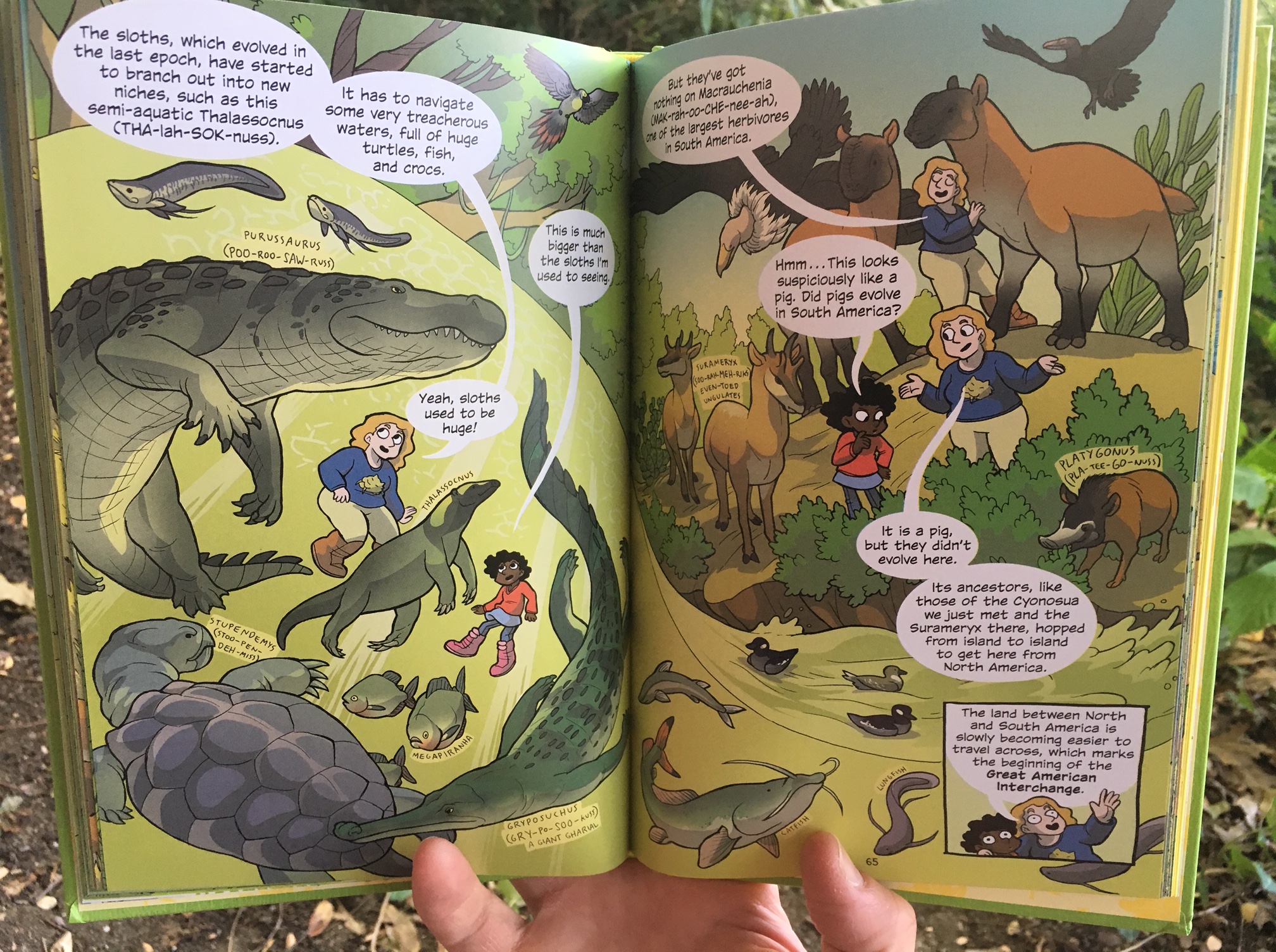 Mammal Takeover! (Earth Before Us #3) – Dino Dad Reviews