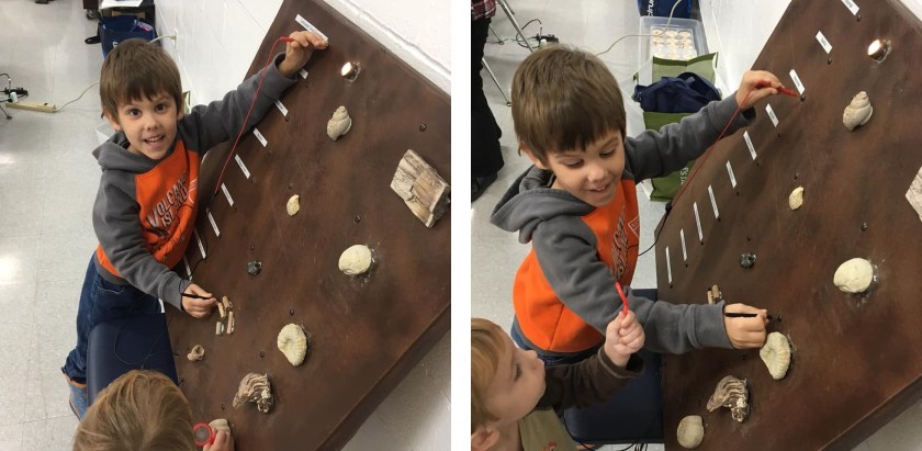 fossilmania activities 1