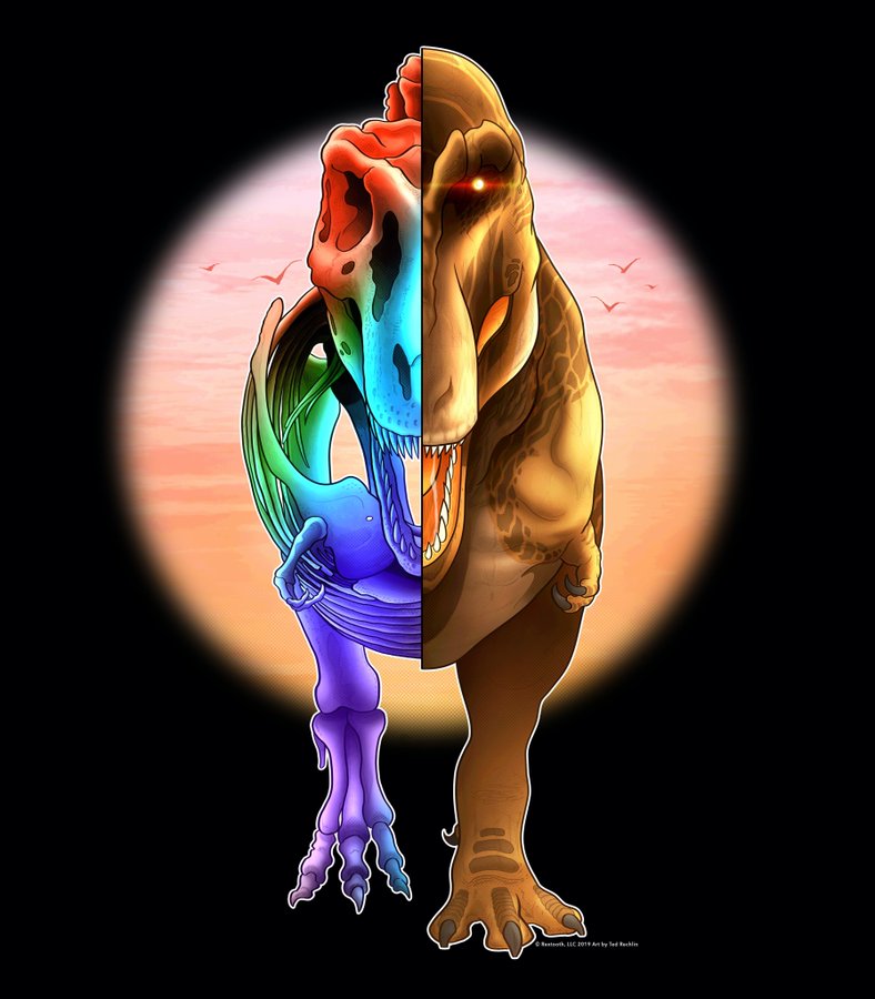 Rechlin Sue full image