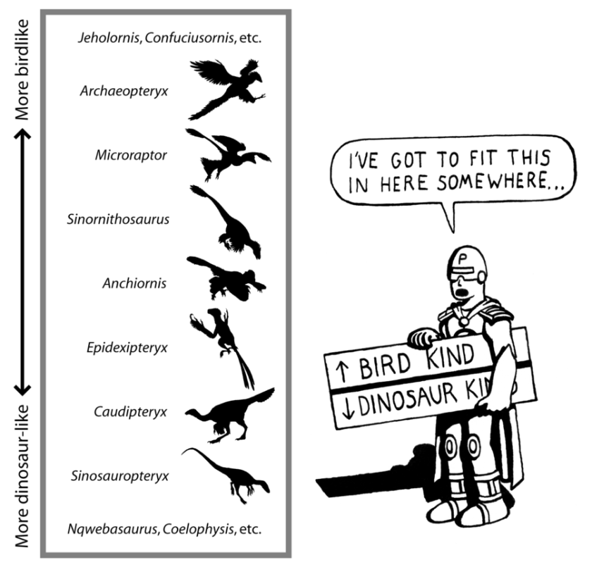 where__s_the_line__by_agahnim