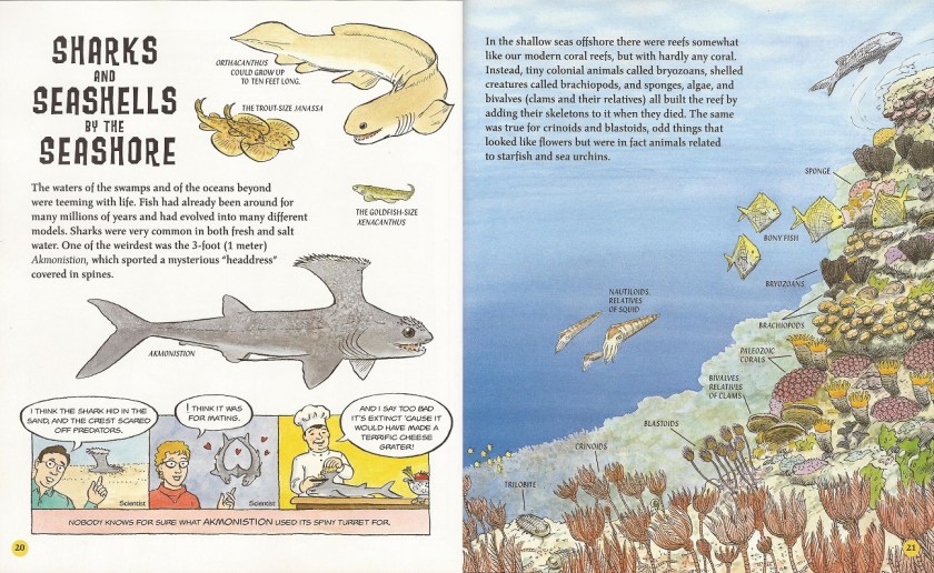 Carboniferous &amp; Permain sharks