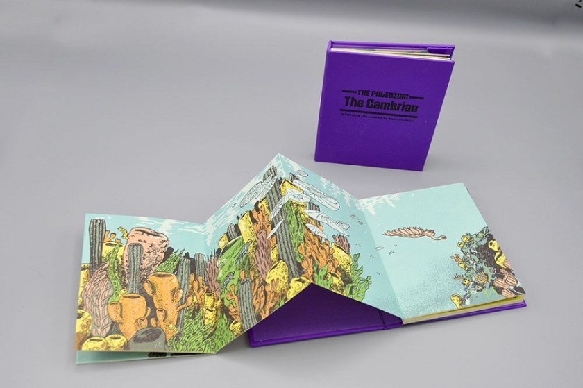 estrella vega cambrian