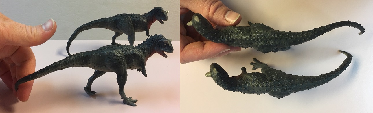 Carnotaurus Comparison