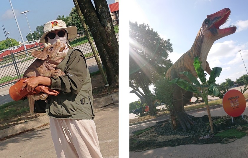 Baby Triceratops &amp; Siats