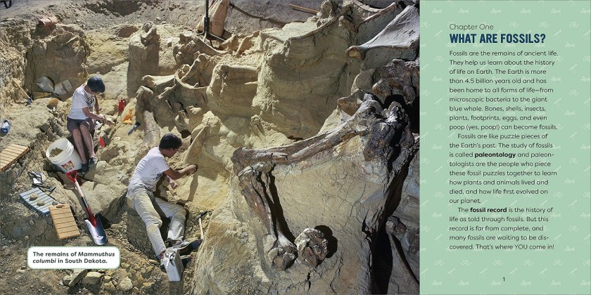 fossils for kids what are fossils