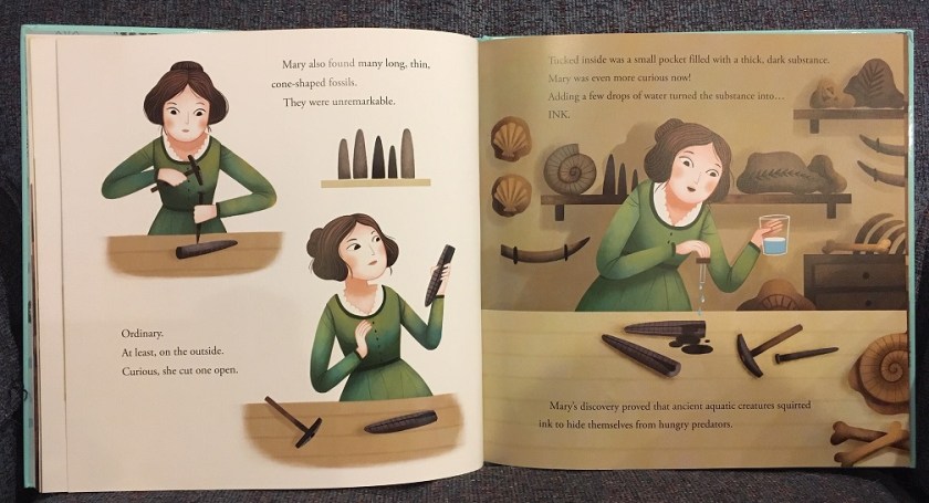 Mary and Belemnite ink