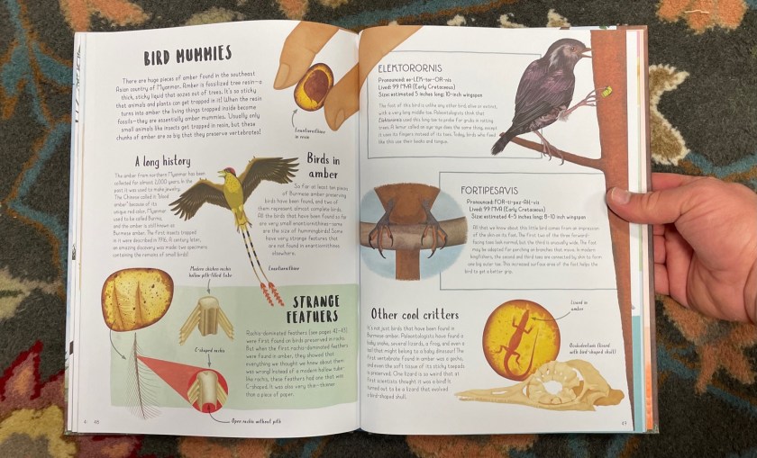 When Dinosaurs Conquered The Skies Dino Dad Reviews