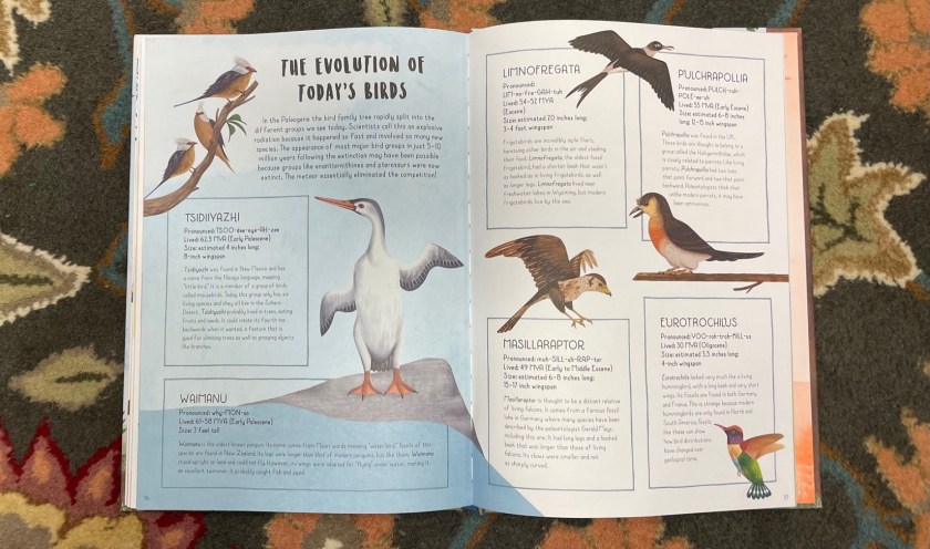 When Dinosaurs Conquered The Skies Dino Dad Reviews