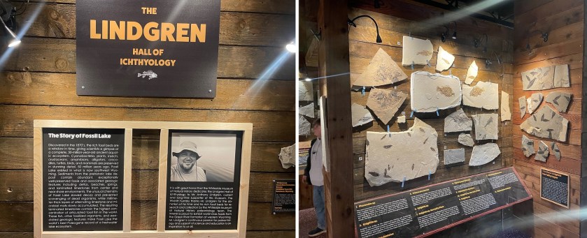 Whiteside ichthyology 1