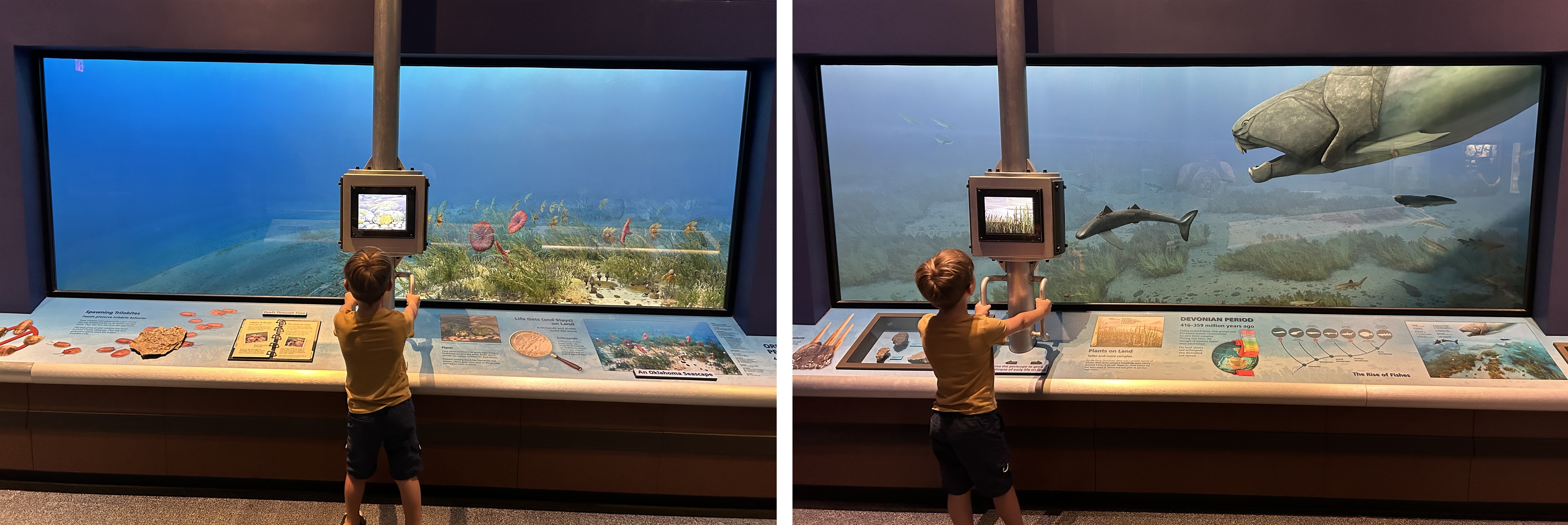 Sam Noble Oklahoma Museum of Natural History – Dino Dad Reviews