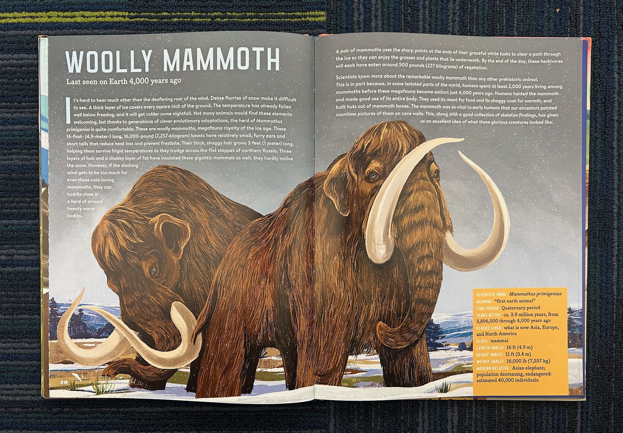 Meet the Megafauna! – Dino Dad Reviews