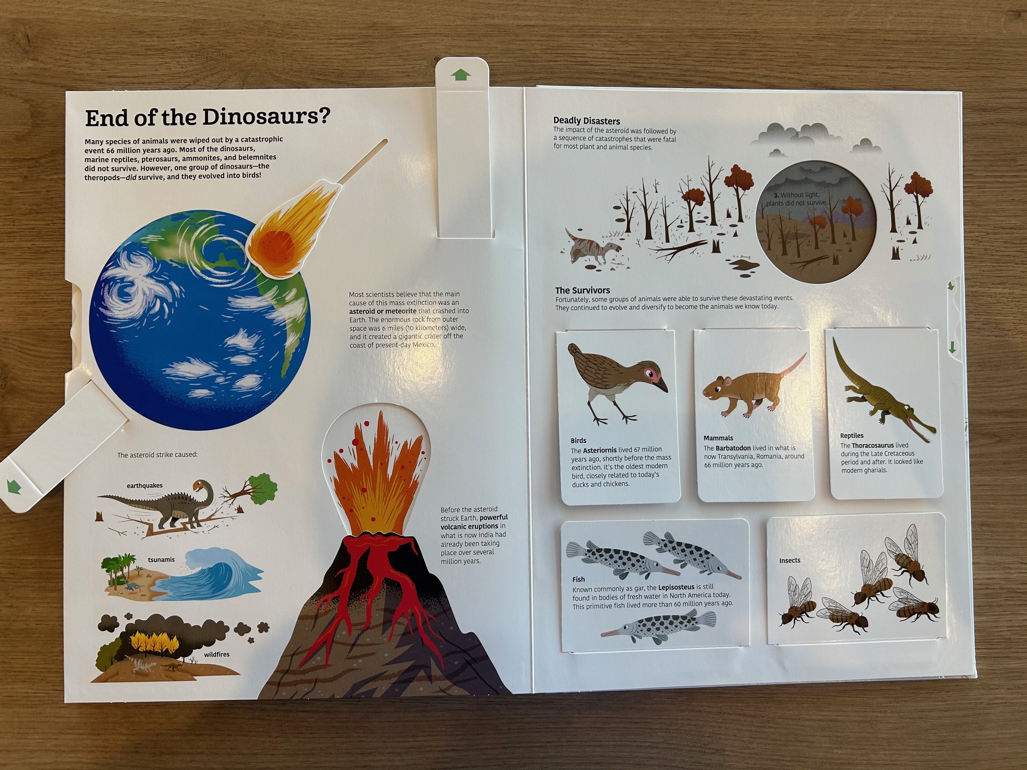 The Ultimate Book of Dinosaurs – Dino Dad Reviews