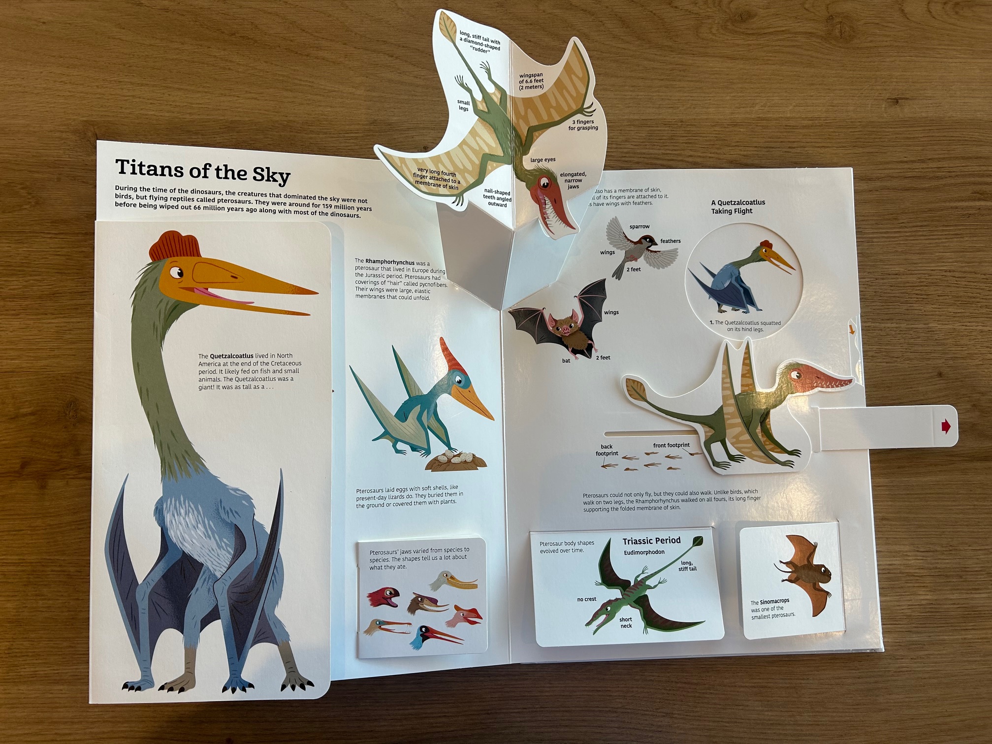 The Ultimate Book of Dinosaurs – Dino Dad Reviews